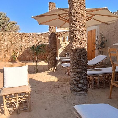 Tanirt Ecolodge 시와오아시스 외부 사진