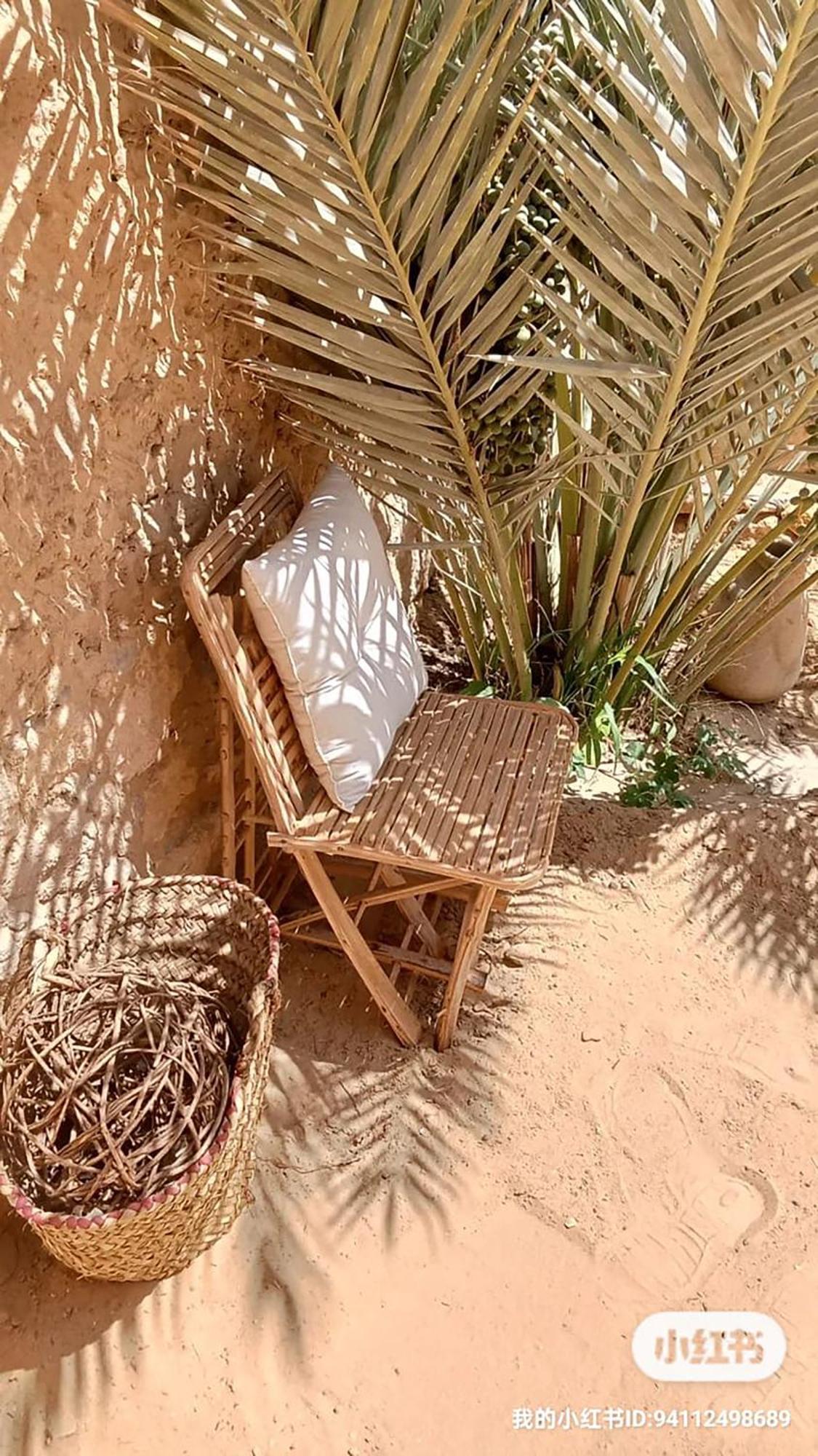 Tanirt Ecolodge 시와오아시스 외부 사진